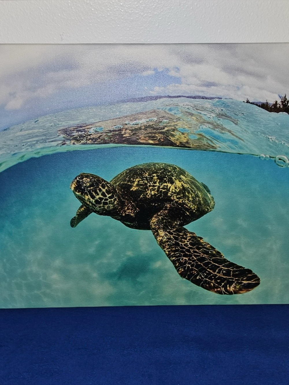 NEW NORTH SHORE HAWAIIAN SEA TURTLE CANVAS